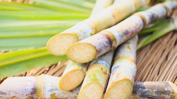 富含蛋白质的食物有哪些?