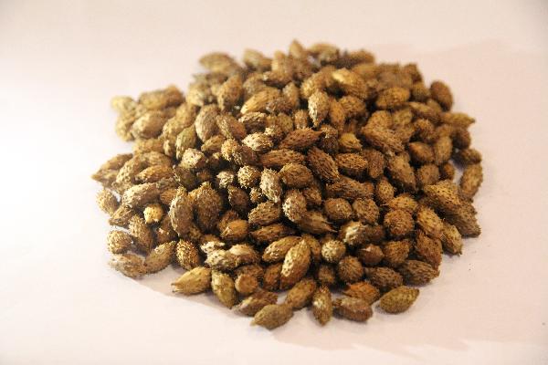 注意!中医里神奇的经络催眠术