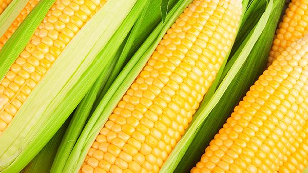 春天吃哪些食物养肝效果最好