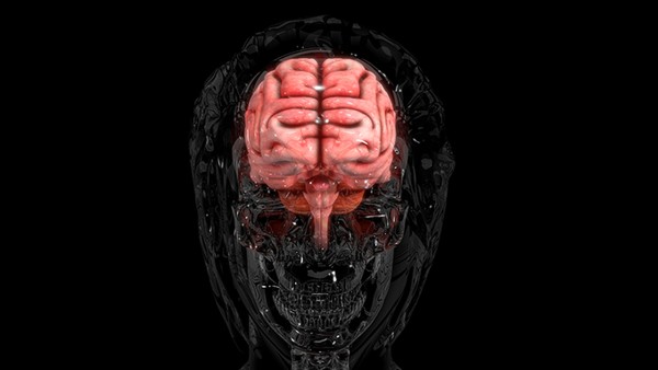 多发性腔隙性脑梗塞的原因