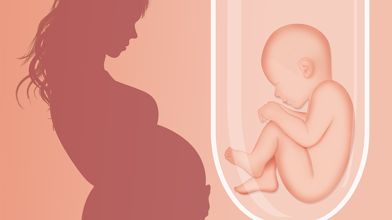 试着做2~3岁婴儿的营养粥