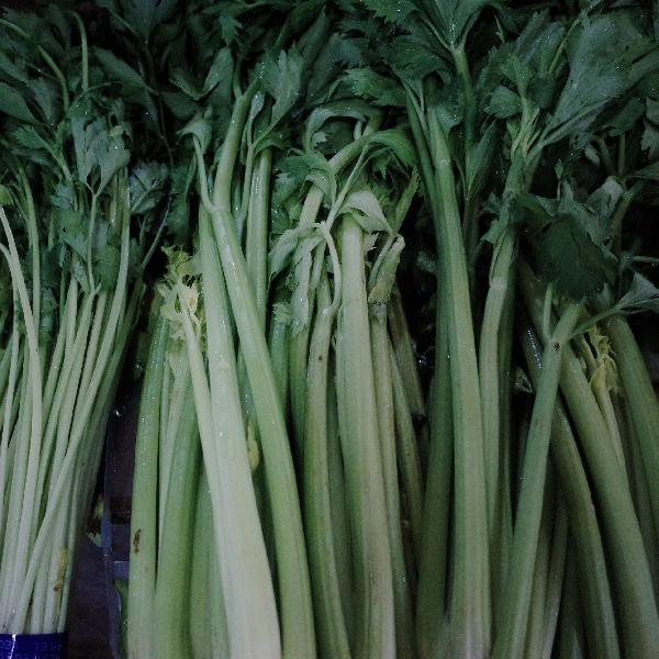 高血糖吃什么蔬菜好?20种蔬菜最降糖