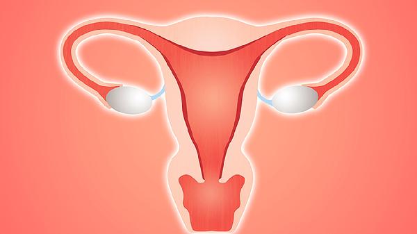 宫颈TCT检查有化生细胞是什么意思