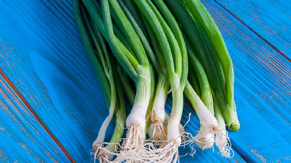 春天吃什么食物可以养肝效果好