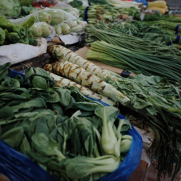 根茎类蔬菜属于碳水化合物吗