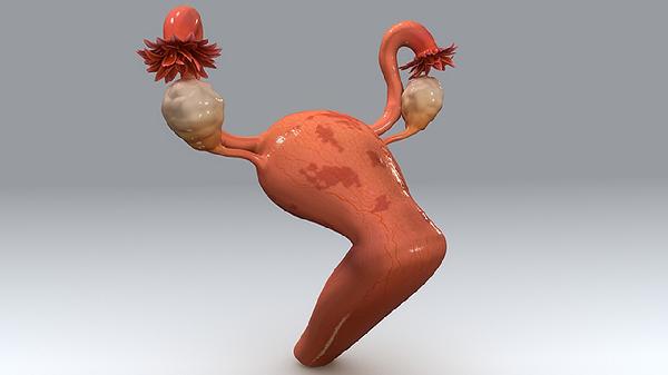 宫颈癌的治疗方法有哪几种
