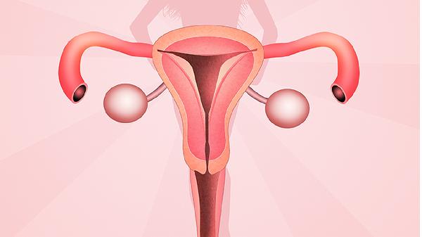 女人要健康需注重子宫保健
